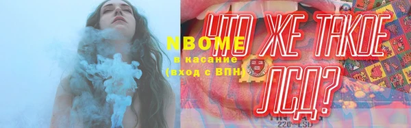 соль ск Новодвинск