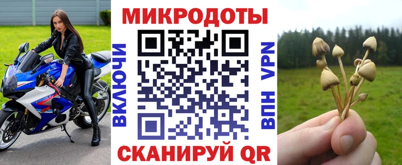 Псилоцибиновые грибы прущие грибы  Велиж 